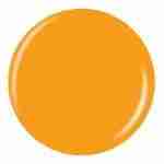 CG_DOT_80947_Sun_Worshiper