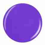 CG_DOT_81322_THATS_SHORE_BRIGHT_HR