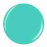 CG_DOT_81323_TOO_YACHT_TO_HANDLE_HR